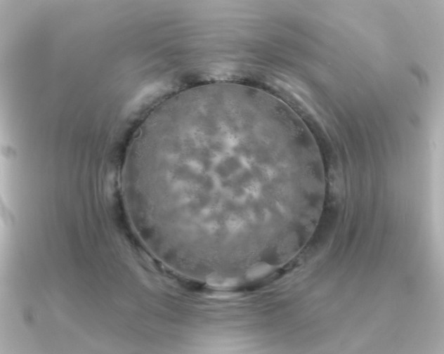 X0000091230503200708091420