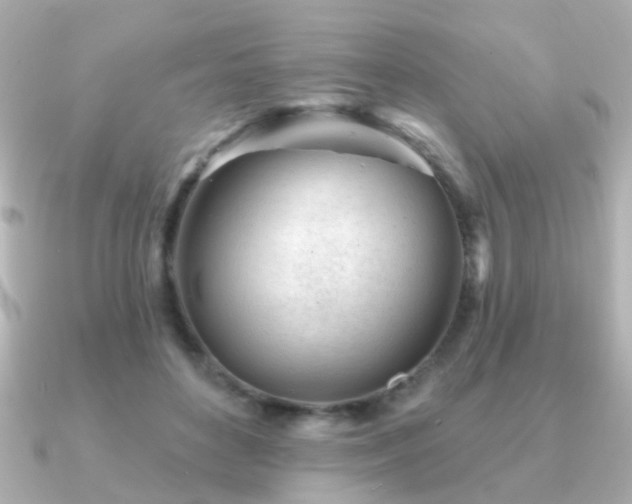 X0000091230504200708091420