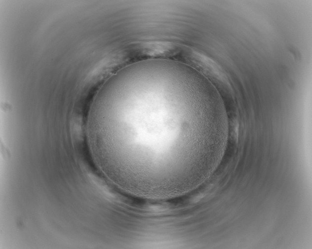 X0000091230510200708091420