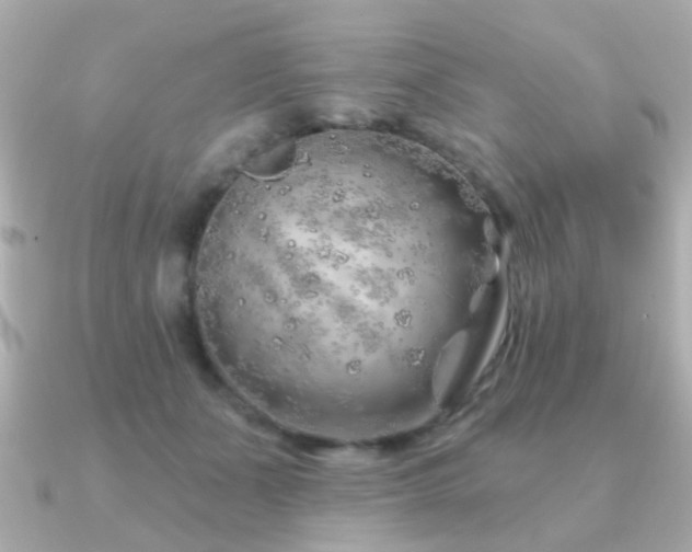 X0000091230511200708091420