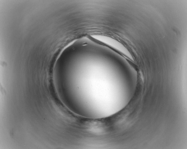 X0000091230512200708091420