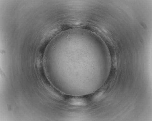 X0000091230515200708091420