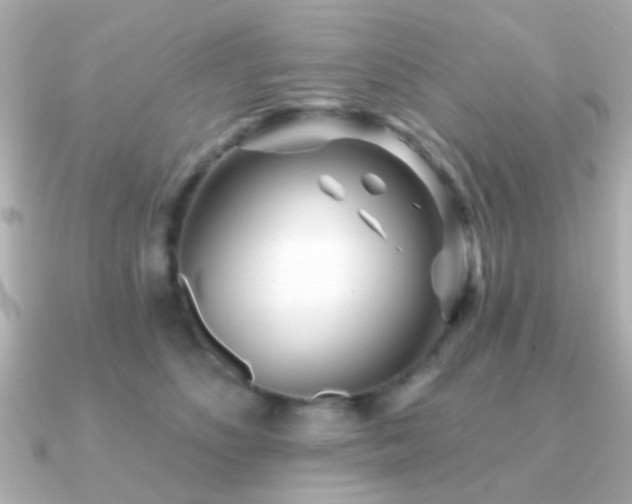 X0000091230516200708091420