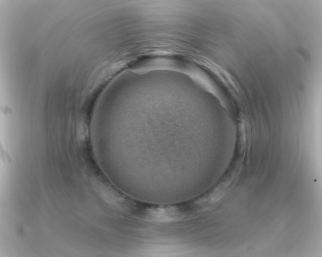 X0000091230517200708091420