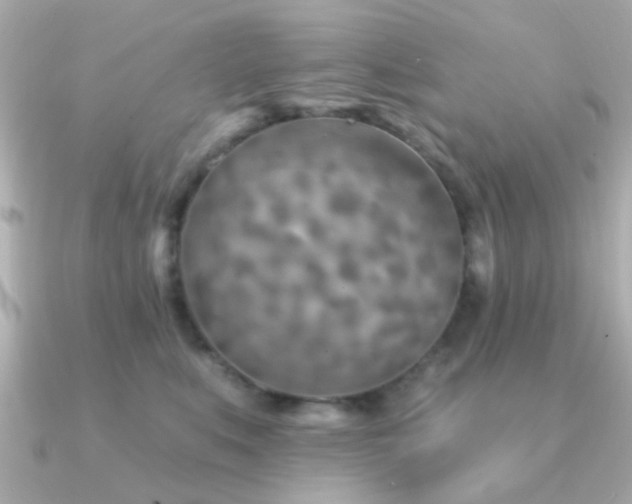 X0000091230519200708091420