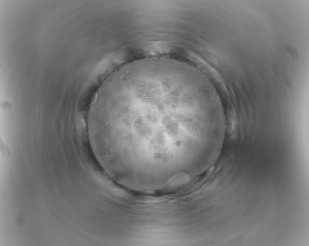 X0000091230523200708091420