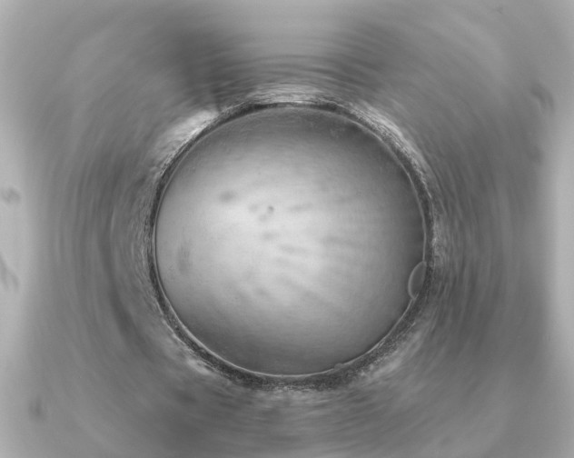X0000091230529200708091419