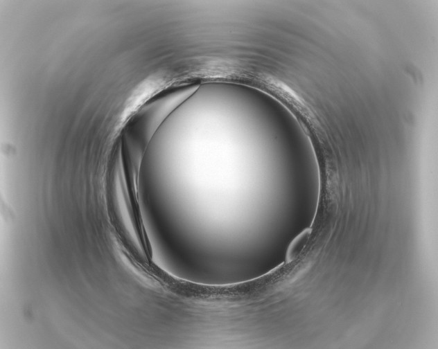 X0000091230530200708091419
