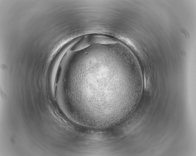 X0000091230531200708091419
