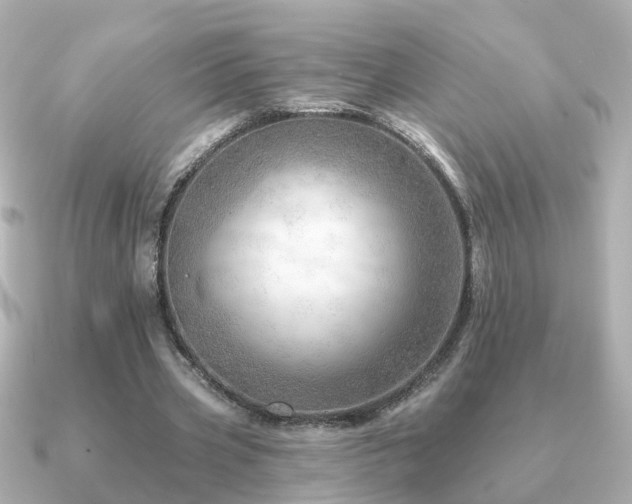 X0000091230533200708091419