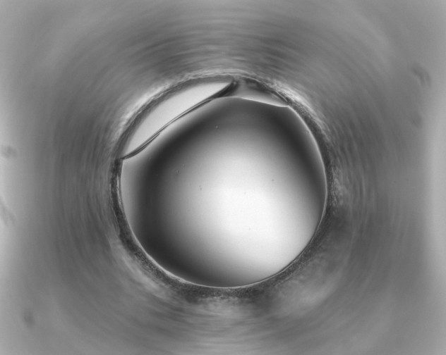 X0000091230535200708091419