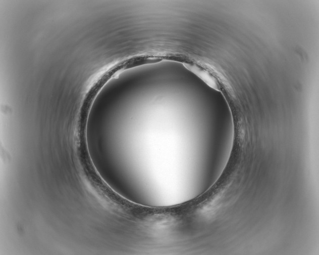 X0000091230536200708091419