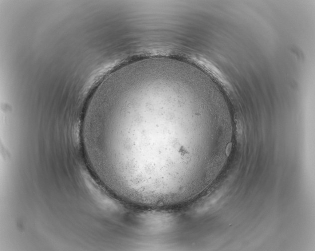 X0000091230537200708091419