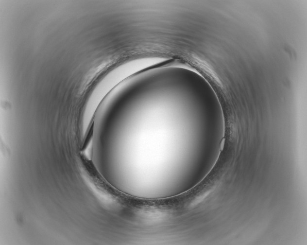 X0000091230538200708091419