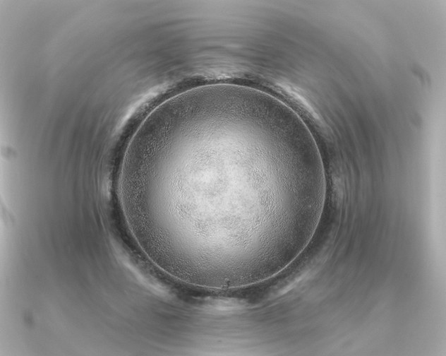 X0000091230539200708091419