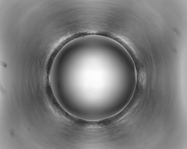 X0000091230540200708091419