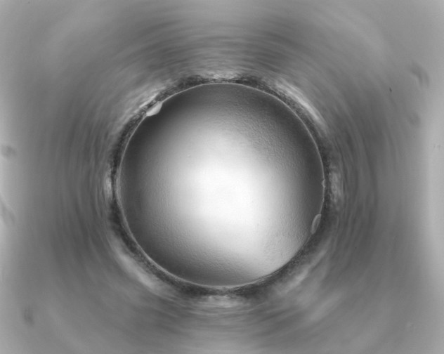 X0000091230541200708091419