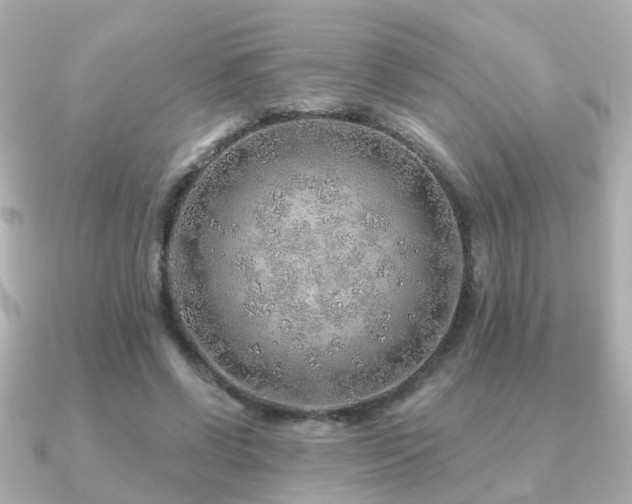 X0000091230542200708091419