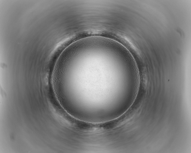 X0000091230543200708091419