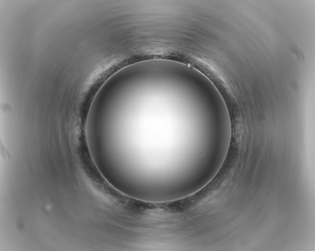 X0000091230544200708091419