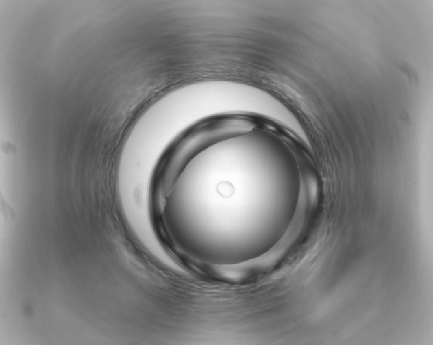 X0000091230546200708091419