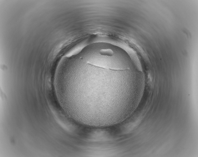 X0000091230547200708091419
