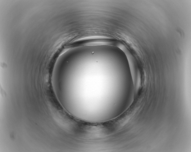 X0000091230548200708091419