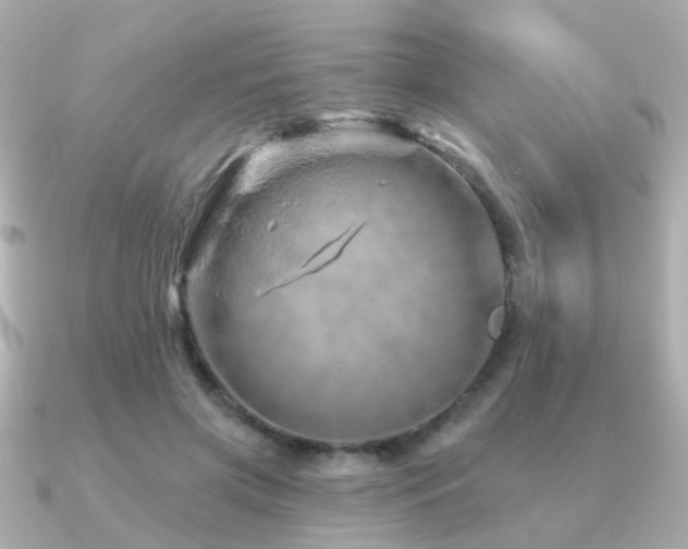 X0000091230549200708091419