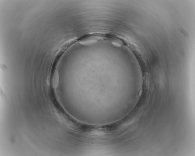X0000091230550200708091419