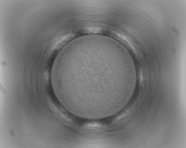 X0000091230551200708091419