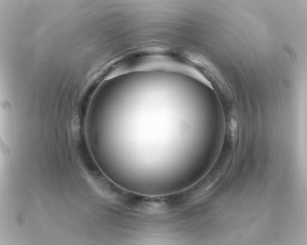 X0000091230552200708091419