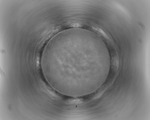 X0000091230553200708091419