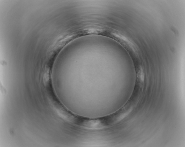 X0000091230554200708091419