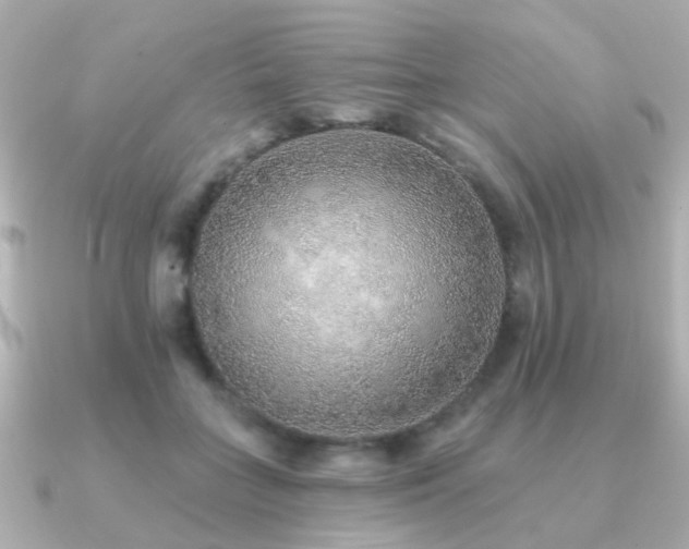 X0000091230555200708091419