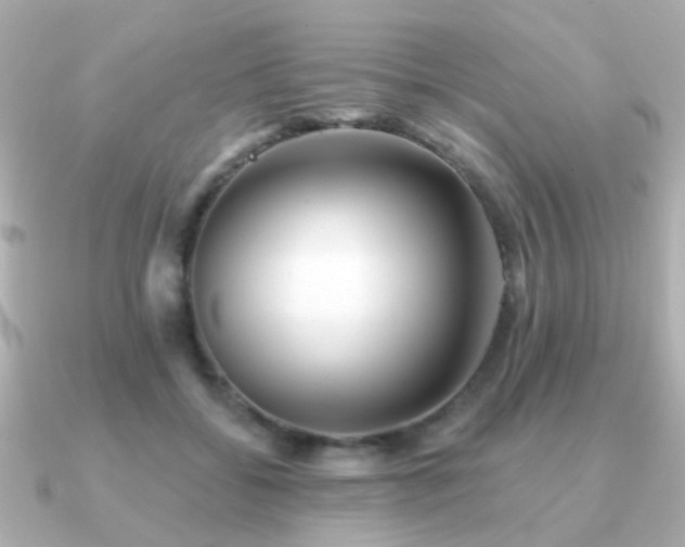 X0000091230556200708091419