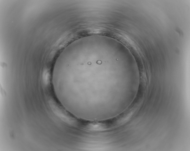 X0000091230557200708091419