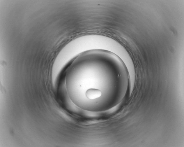 X0000091230558200708091419