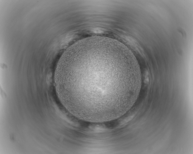 X0000091230559200708091419