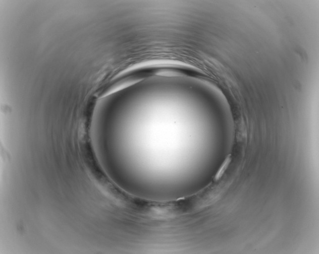 X0000091230560200708091419