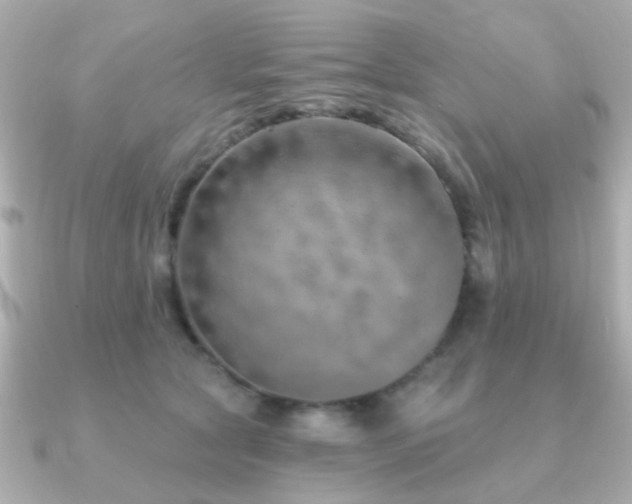 X0000091230561200708091419