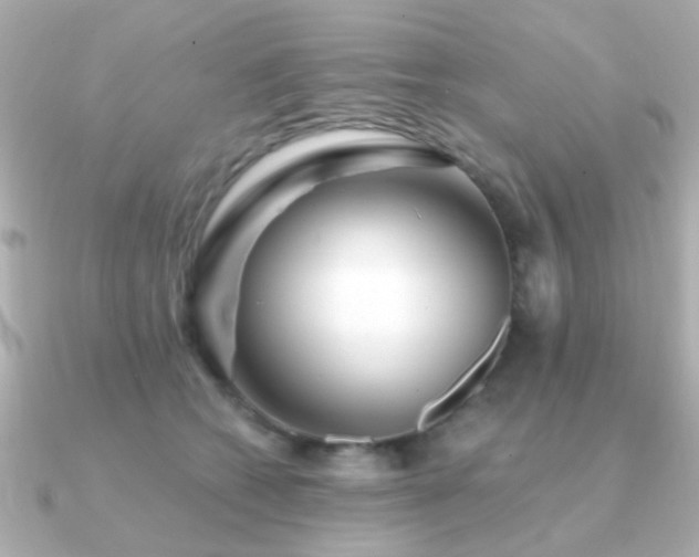 X0000091230562200708091419