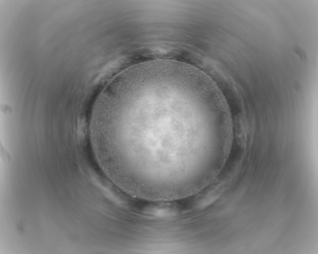 X0000091230563200708091420
