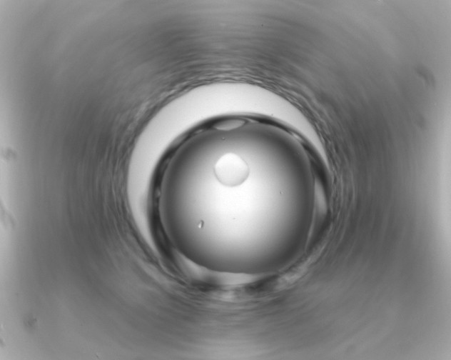 X0000091230564200708091420