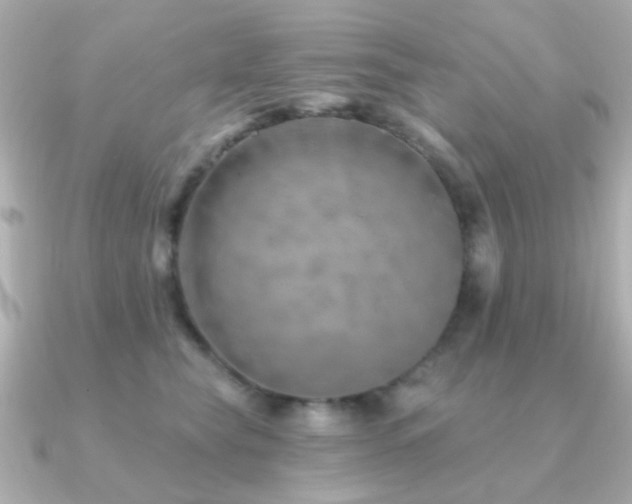 X0000091230565200708091420