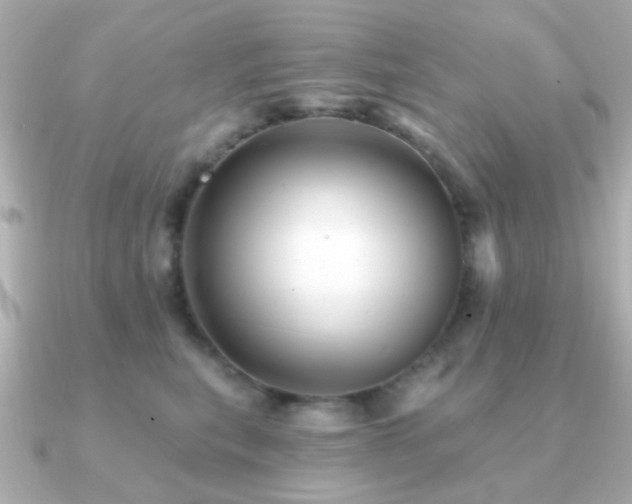 X0000091230567200708091420