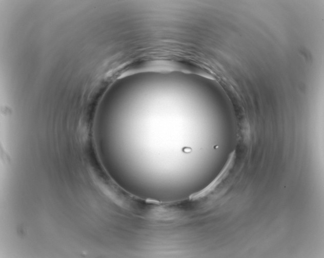 X0000091230568200708091420