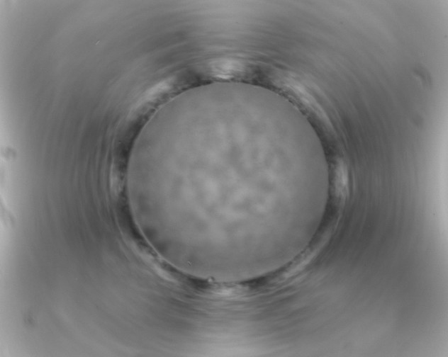 X0000091230569200708091420