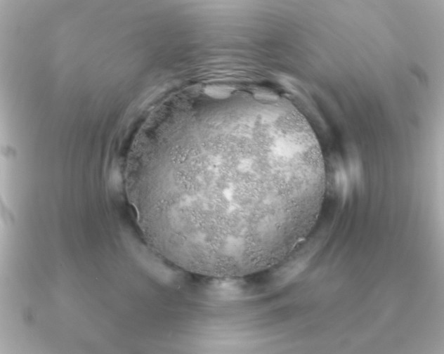 X0000091230573200708091420
