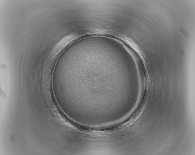 X0000091230577200708091419