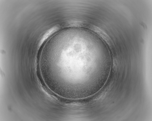 X0000091230578200708091419